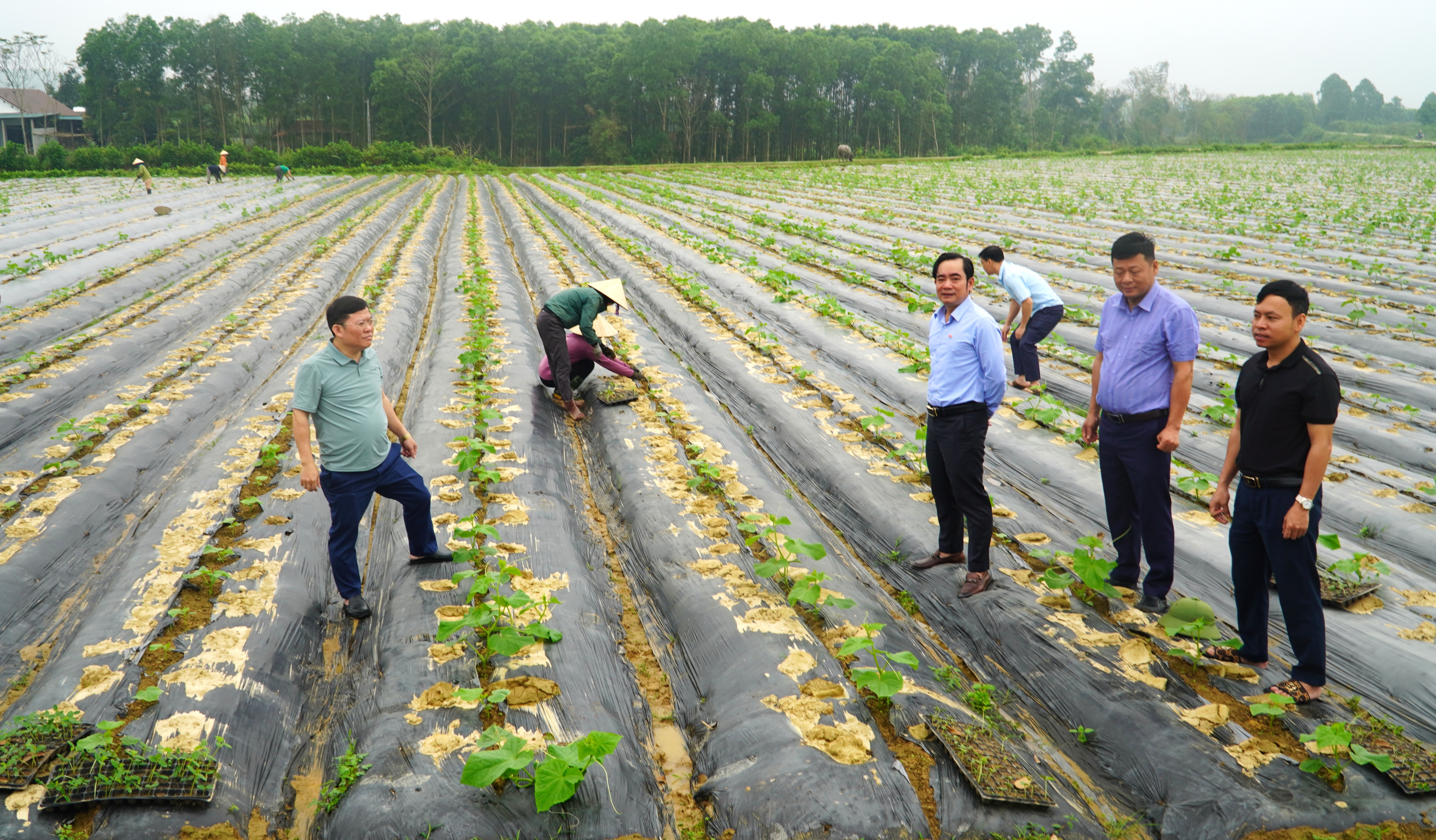 Bí thư Đảng ủy, Chủ tịch Hội đồng nhân dân xã Hương Xuân kiểm tra tình hình sản xuất nông nghiệp đầu xuân 2026.