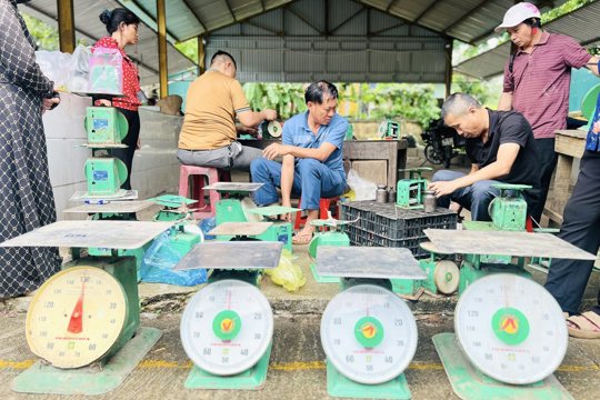 Hương Xuân triển khai kiểm định miễn phí cân đồng hồ lò xo cho các hộ kinh doanh