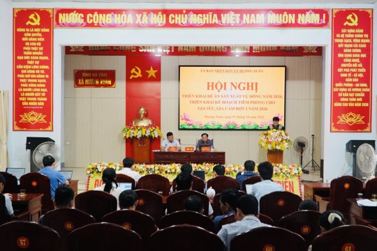 Xã Hương Xuân triển khai Đề án sản xuất vụ Đông và Kế hoạch tiêm phòng gia súc, gia cầm đợt 2 năm 2026 